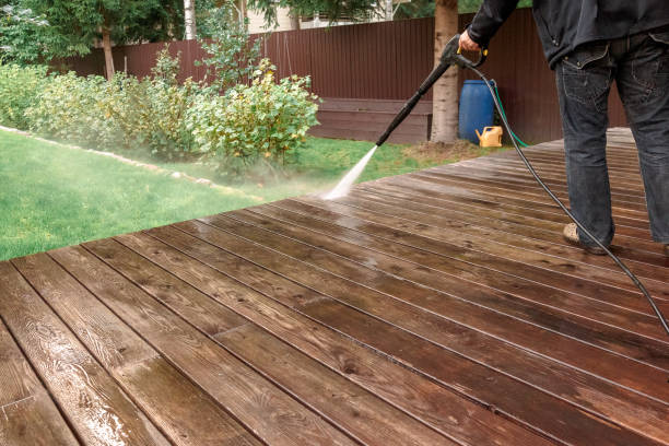 Best Soft Washing  in Los Ranchos, CA